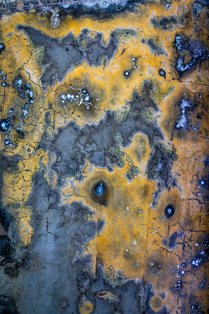 Wall Art Painting id:742596, Name: USA, Washington State, Port Townsend, Fort Worden State Park. Decay patterns on wall., Artist: Jaynes Gallery