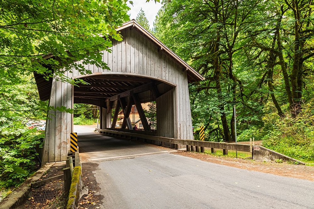 Wall Art Painting id:406438, Name: Washington State-Woodland Covered bridge over Cedar Creek near Vancouver-Washington, Artist: Wilson, Emily