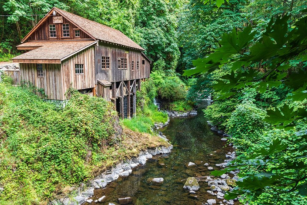 Wall Art Painting id:406439, Name: Washington State-Woodland Cedar Creek Grist Mill-near Vancouver-Washington, Artist: Wilson, Emily