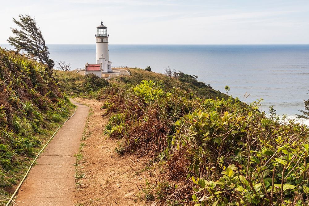 Wall Art Painting id:406440, Name: Washington State-Ilwaco-Cape Disappointment State Park North Head lighthouse, Artist: Wilson, Emily