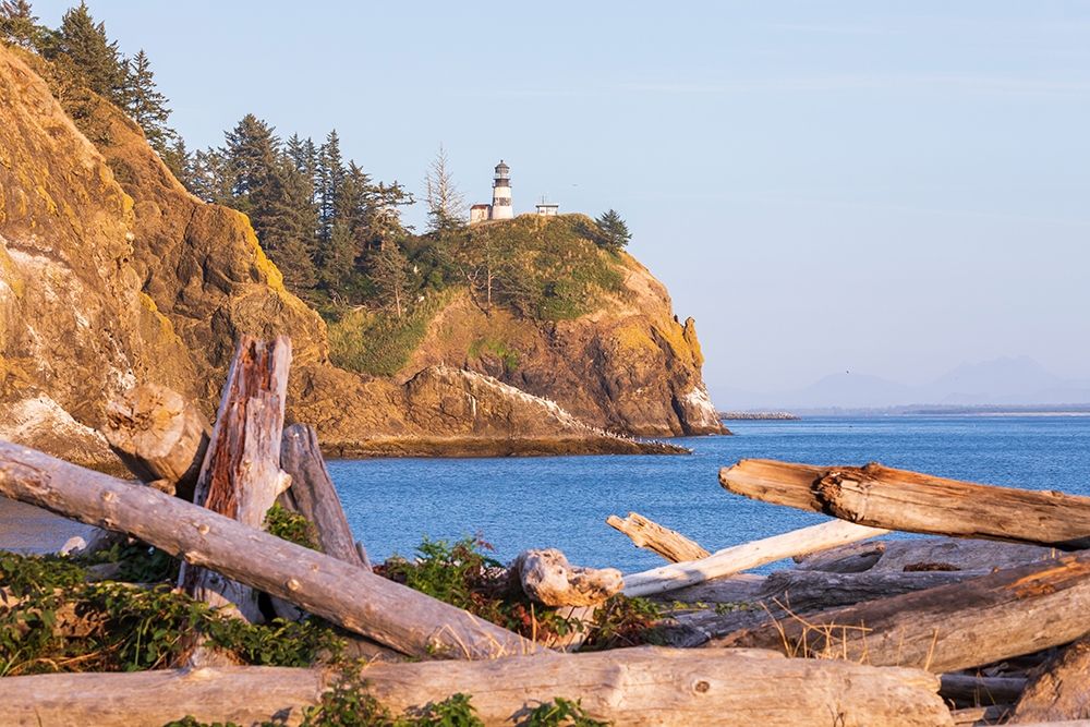 Wall Art Painting id:406441, Name: Washington State-Ilwaco-Cape Disappointment State Park Cape Disappointment Lighthouse , Artist: Wilson, Emily