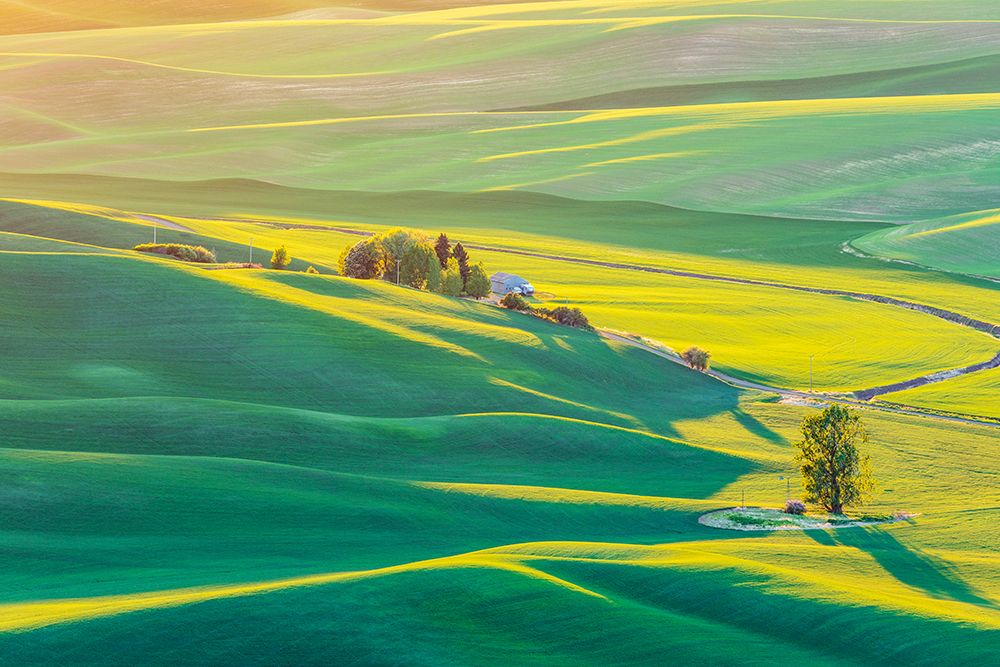 Wall Art Painting id:520258, Name: Steptoe Butte State Park-Washington State-USA-Sunset view of wheat fields in the rolling Palouse hi, Artist: Wilson, Emily