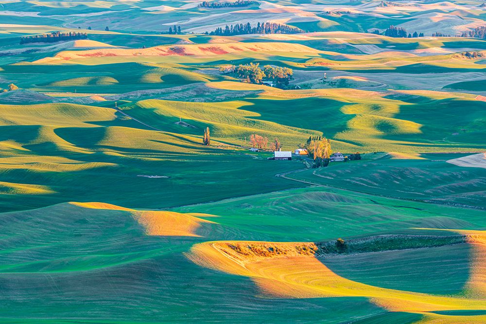 Wall Art Painting id:520259, Name: Steptoe Butte State Park-Washington State-USA-Sunset view of wheat farms in the rolling Palouse hil, Artist: Wilson, Emily