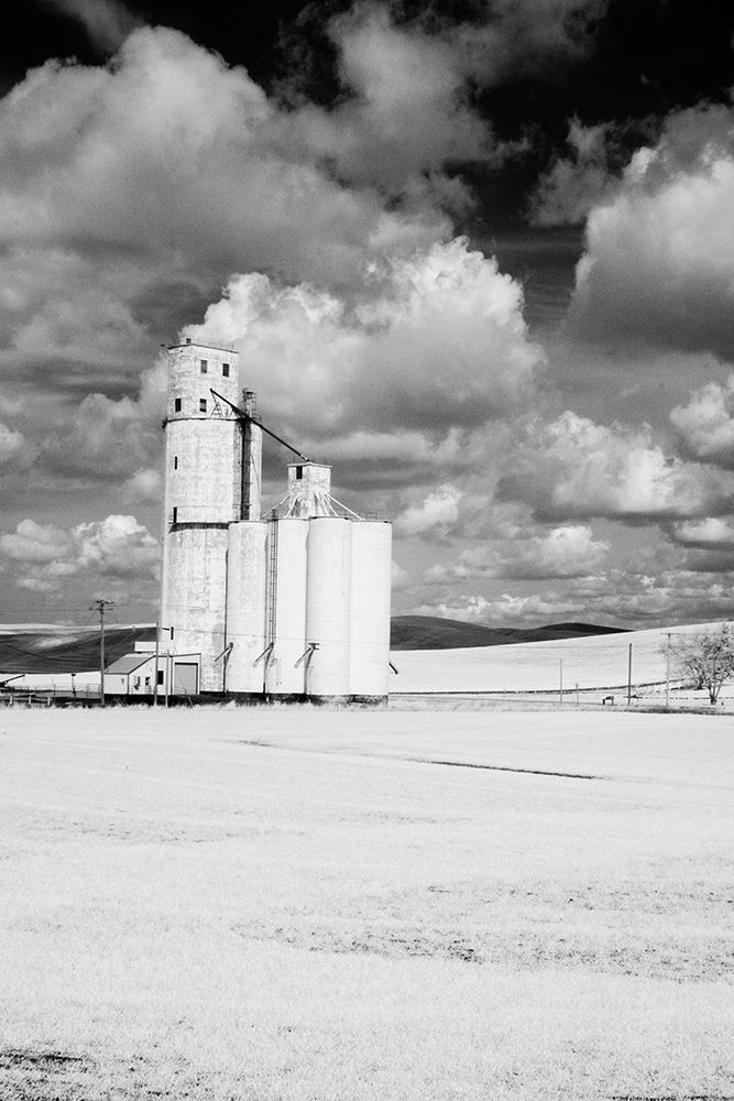 Wall Art Painting id:520328, Name: USA-Washington State-Silo with large clouds, Artist: Eggers, Terry