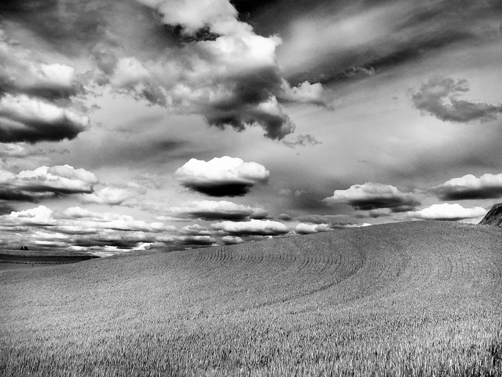 Wall Art Painting id:515388, Name: USA-Washington State-Palouse Infrared of rolling hills of crops and clouds, Artist: Eggers, Terry