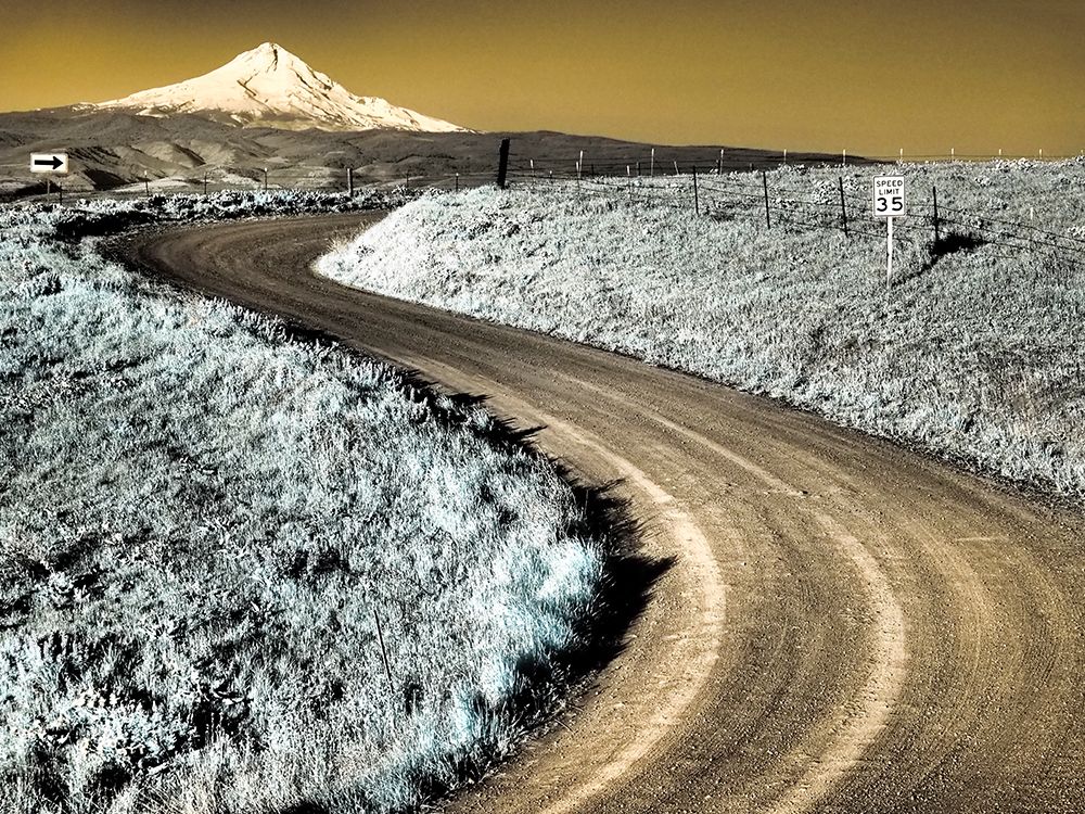 Wall Art Painting id:515415, Name: USA-Washington State Infrared capture of road running though wildflowers with Mount Hood background, Artist: Eggers, Terry