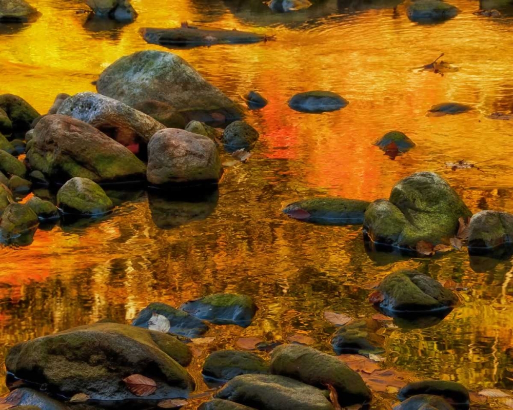 Wall Art Painting id:131595, Name: West Virginia, Davis Autumn reflections on pond, Artist: OBrien, Jay