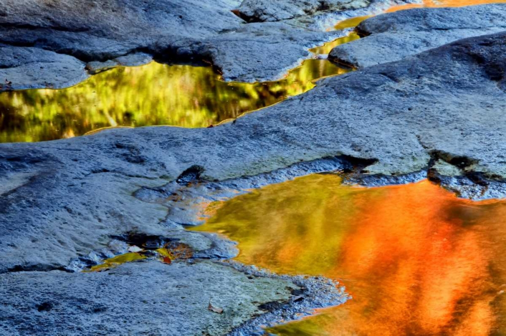 Wall Art Painting id:131449, Name: WV, Blackwater Falls SP Autumn reflections, Artist: OBrien, Jay