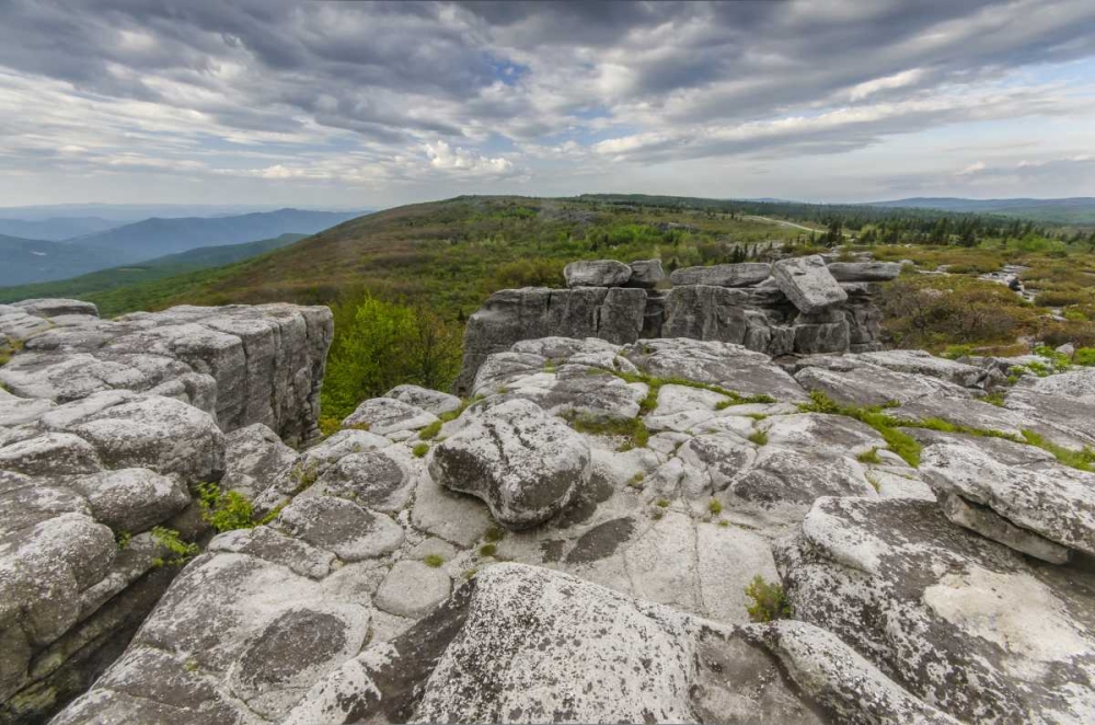 Wall Art Painting id:131445, Name: WV, Landscape in Dolly Sods Wilderness Area, Artist: OBrien, Jay