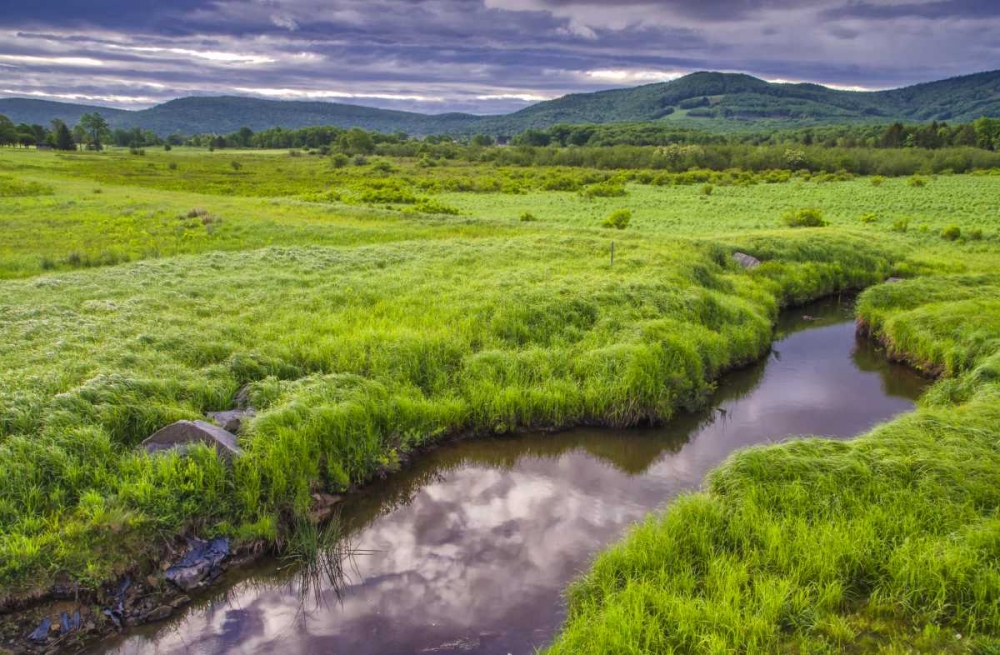 Wall Art Painting id:131411, Name: WV, Davis Landscape of the Canaan Valley, Artist: OBrien, Jay