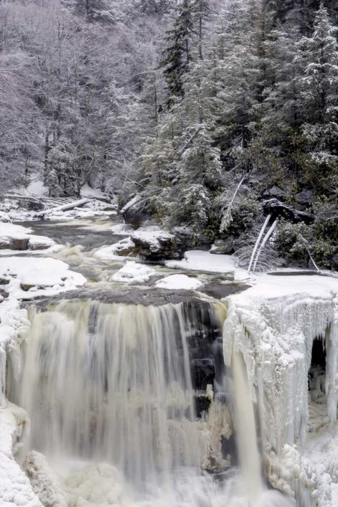 Wall Art Painting id:131460, Name: West Virginia Waterfall in winter landscape, Artist: OBrien, Jay