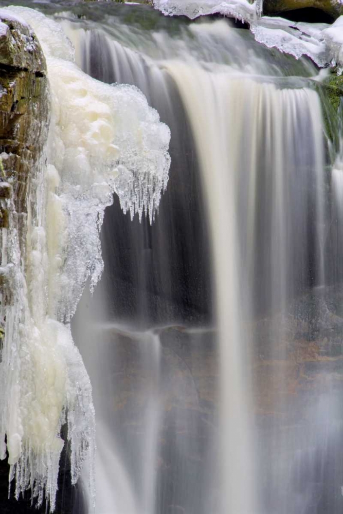 Wall Art Painting id:131628, Name: West Virginia, Blackwater Falls Frozen waterfall, Artist: OBrien, Jay