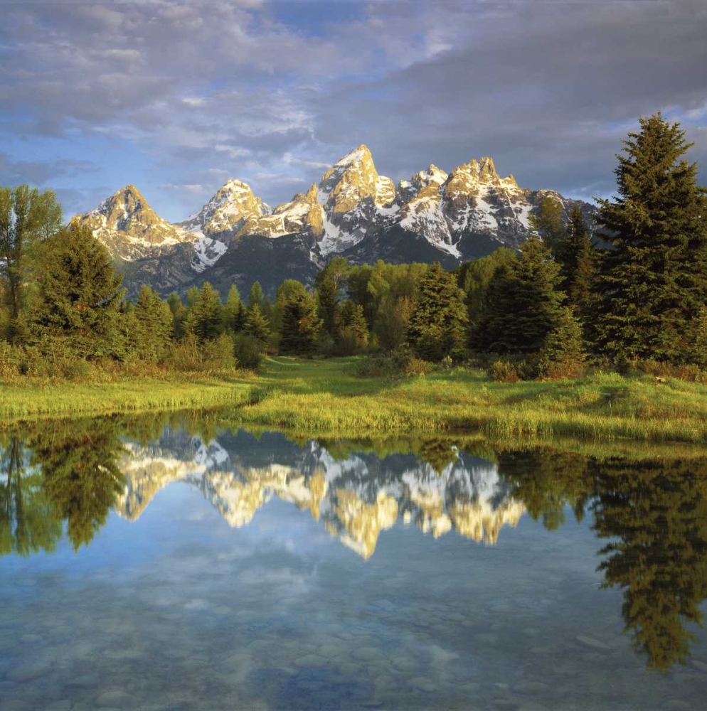 Wall Art Painting id:135086, Name: WY, Grand Tetons reflecting in the Snake River, Artist: Talbot Frank, Christopher
