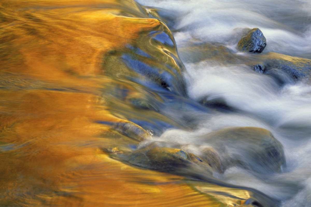 Wall Art Painting id:133849, Name: Northeast, Fall reflections on stream rapids, Artist: Rotenberg, Nancy