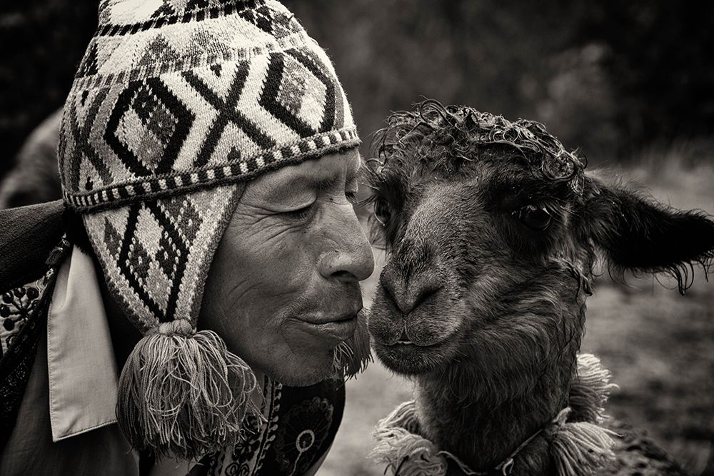 Similar wall art painting: 696156