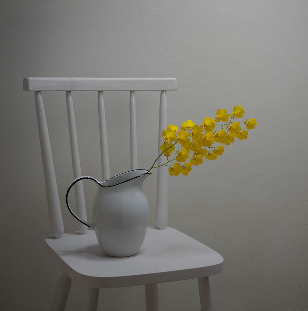 Wall Art Painting id:504394, Name: Simplicity Of Life, Artist: Perfoncio, Margareth