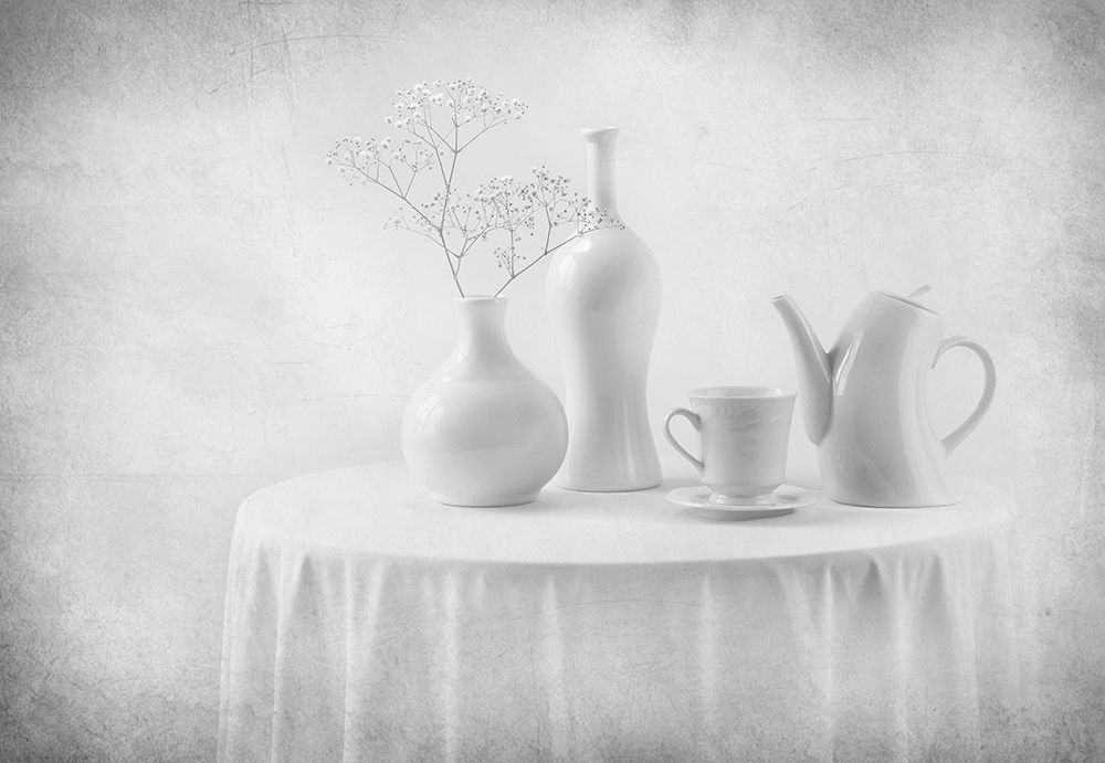 Wall Art Painting id:464035, Name: A White Dream, Artist: Perfoncio, Margareth