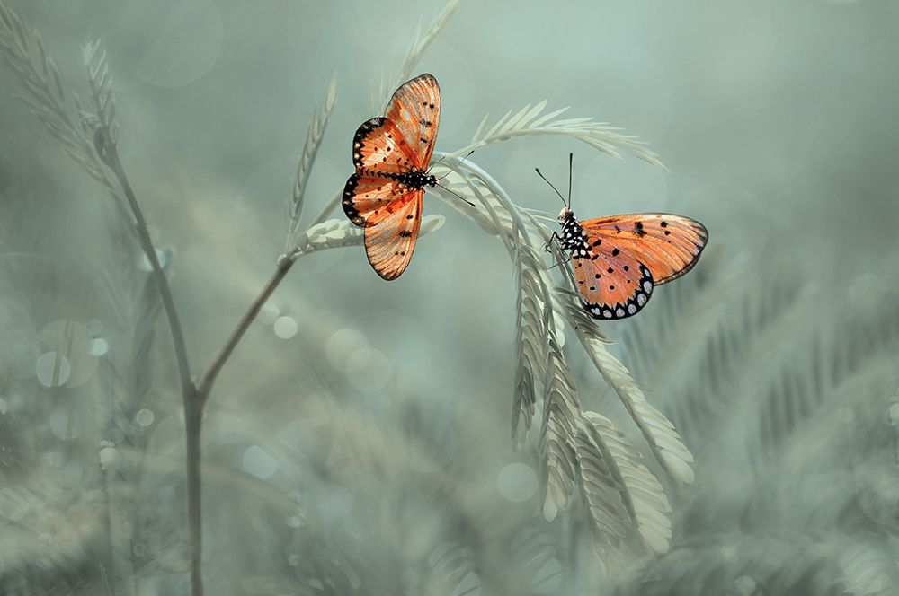 Similar wall art painting: 586470