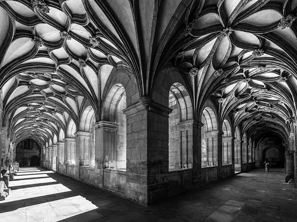 Wall Art Painting id:697682, Name: the flowery cloister, Artist: Silveira, Fernando