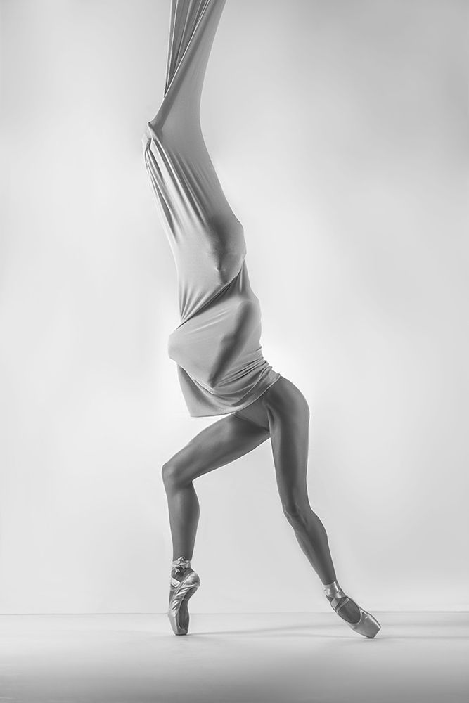 Similar wall art painting: 504690