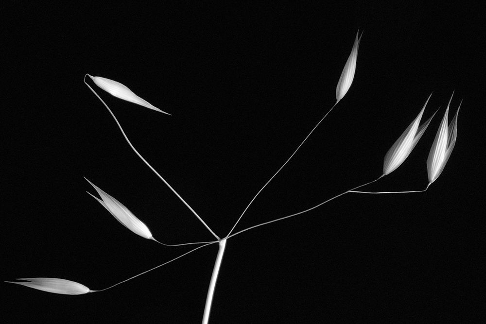 Similar wall art painting: 464675