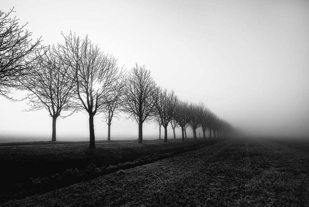 Similar wall art painting: 464726