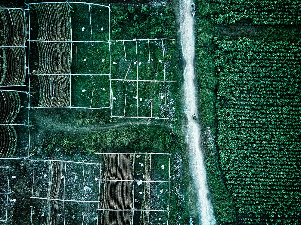 Similar wall art painting: 465438