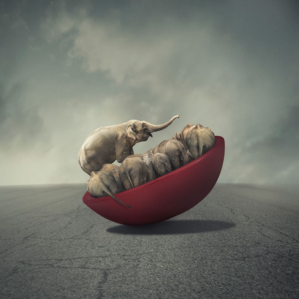 Similar wall art painting: 465709