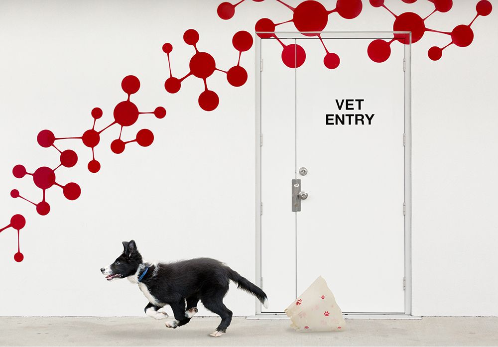 Similar wall art painting: 466179