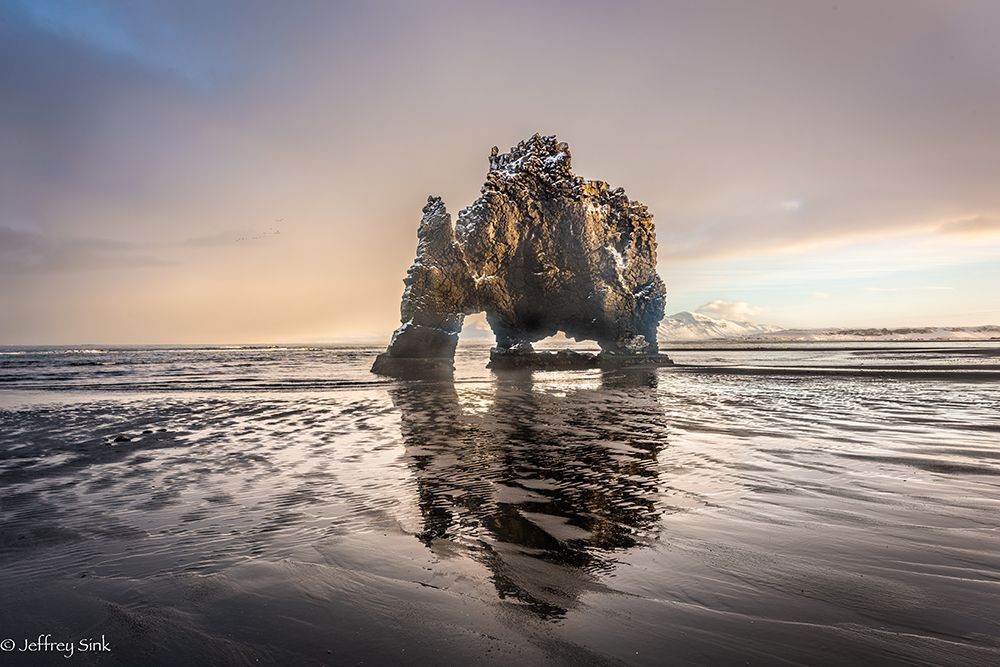 Wall Art Painting id:611704, Name: Dinosaur Rock, Artist: Sink, Jeffrey C.