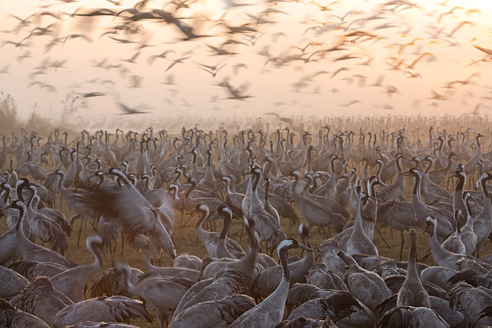 Similar wall art painting: 466283