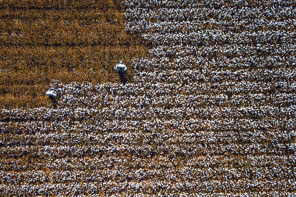 Similar wall art painting: 466485