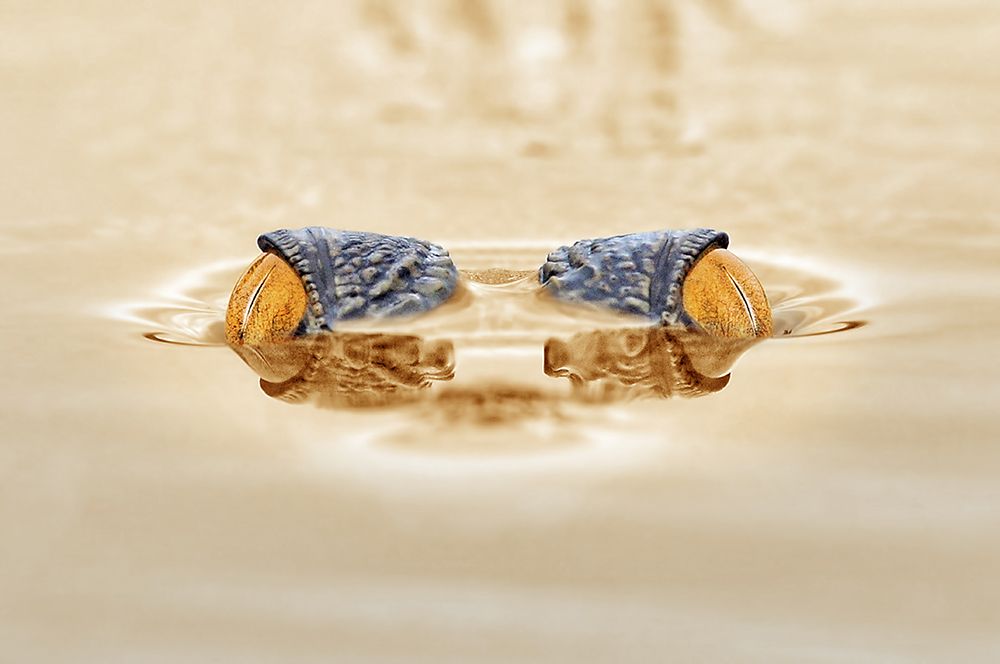 Similar wall art painting: 466521