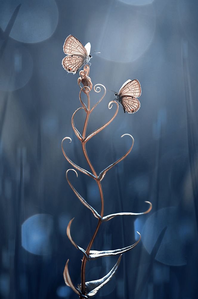 Similar wall art painting: 466557