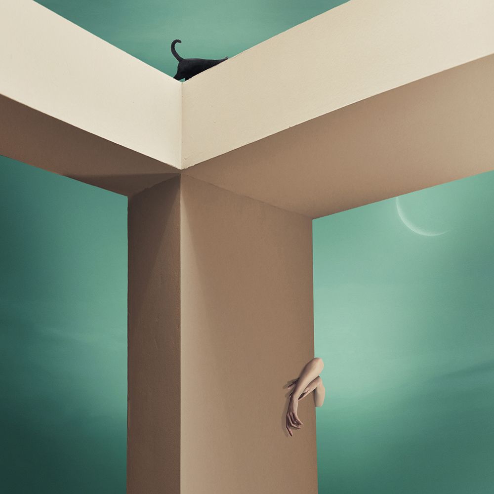 Similar wall art painting: 505341