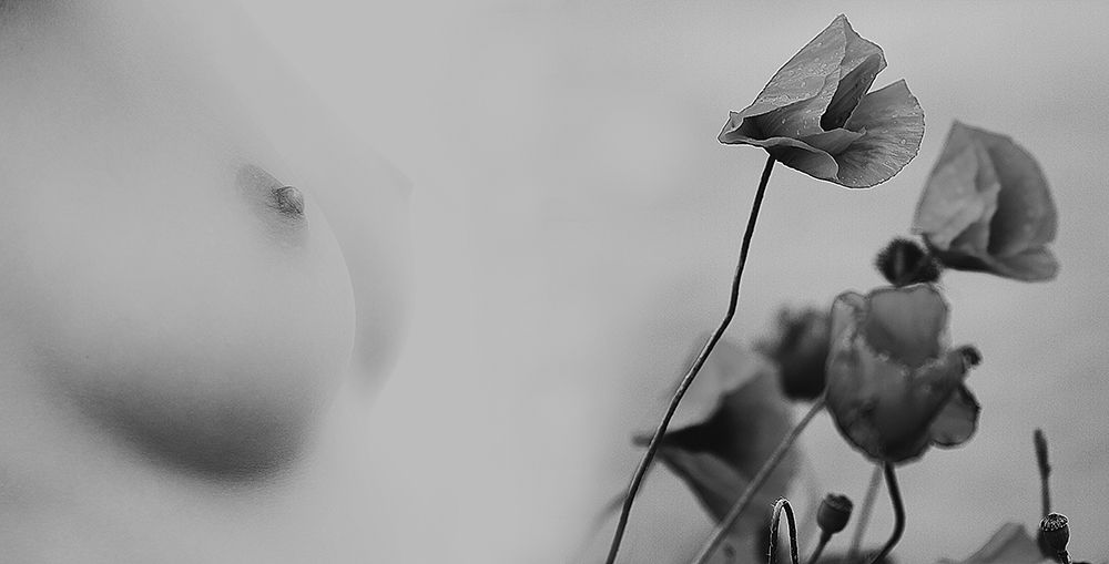 Similar wall art painting: 496407