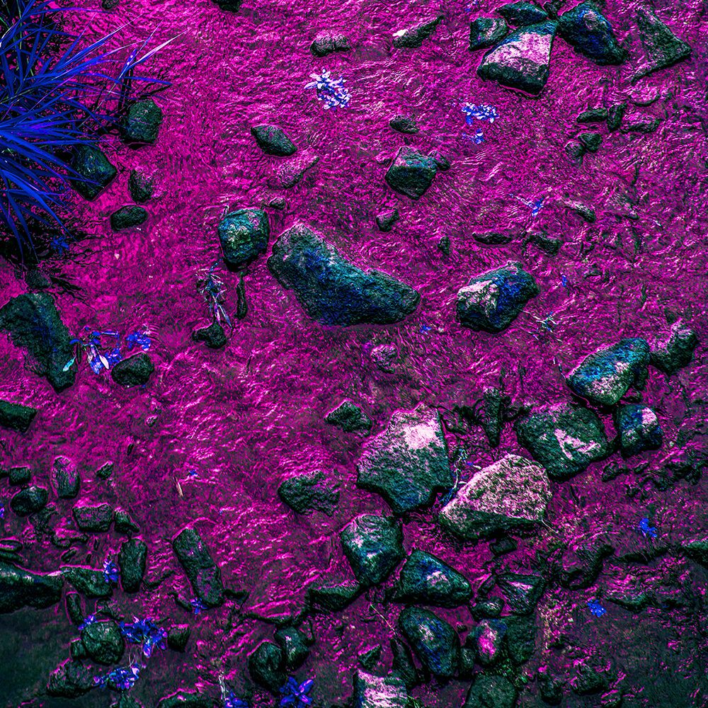 Similar wall art painting: 467271