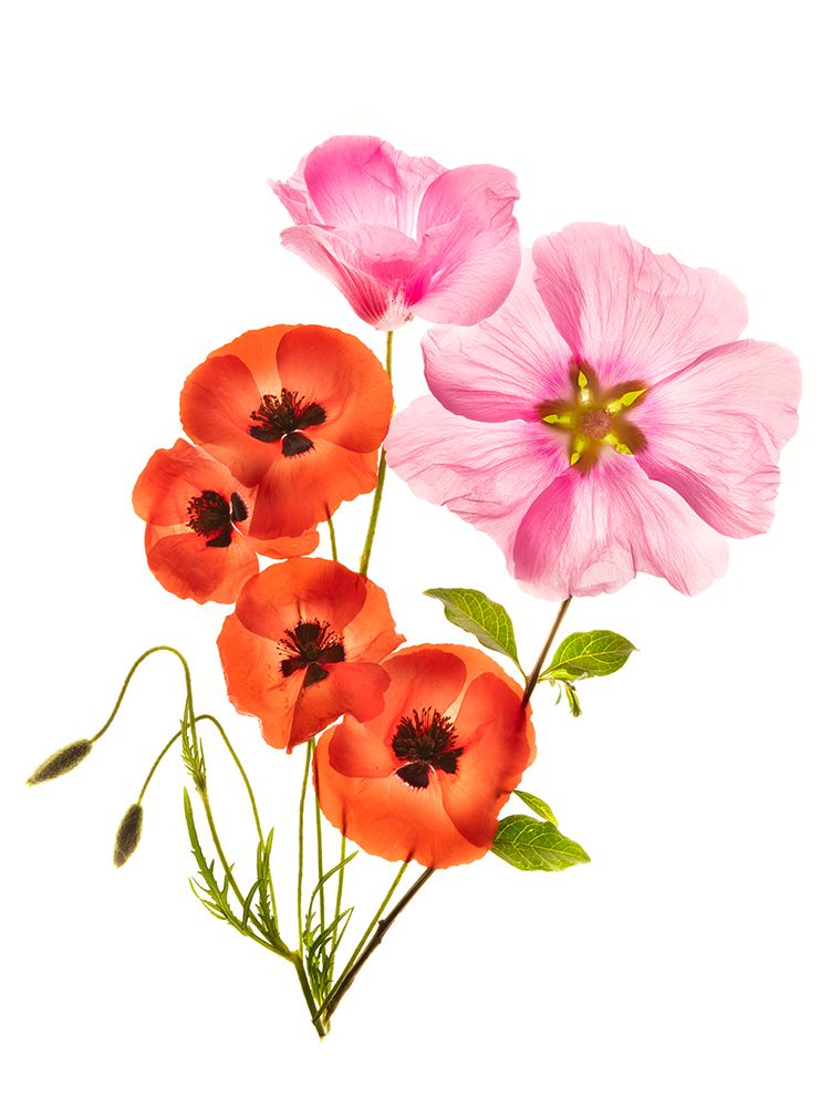 Similar wall art painting: 467571