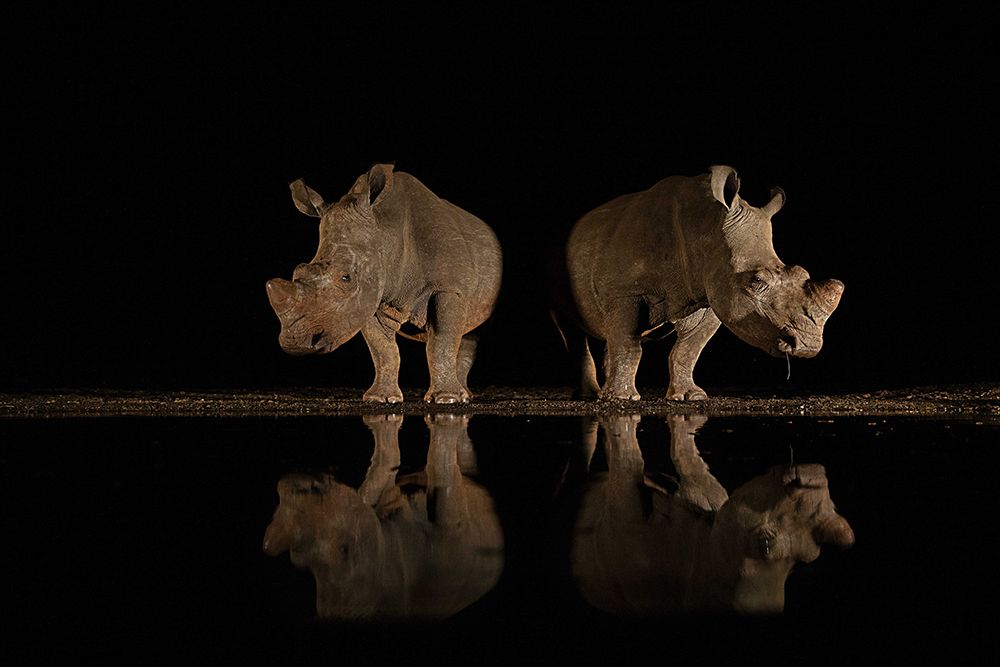 Similar wall art painting: 700522