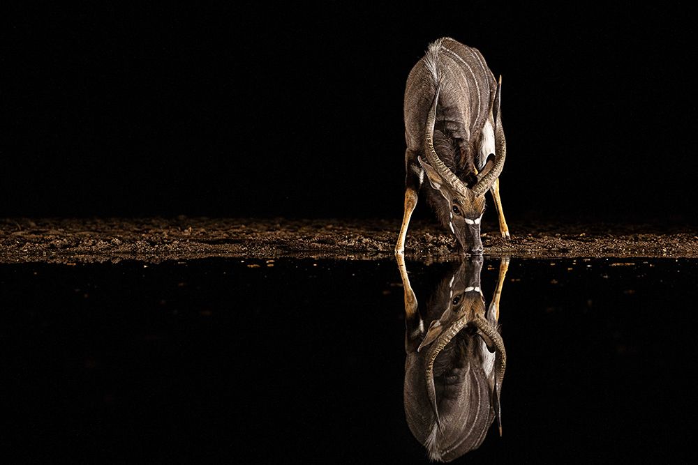 Similar wall art painting: 700529