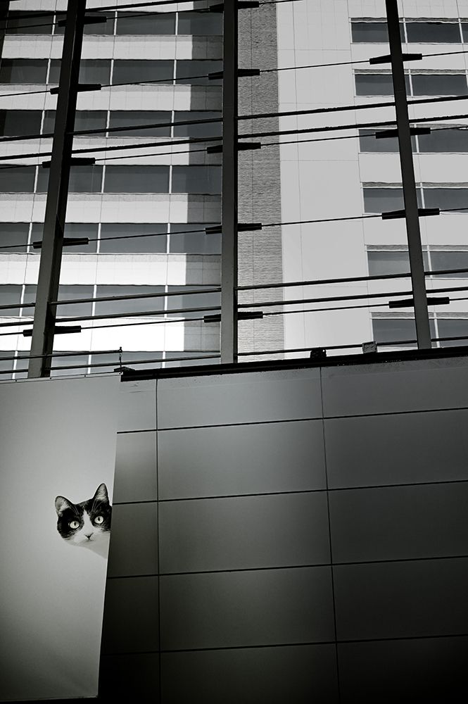 Similar wall art painting: 700765