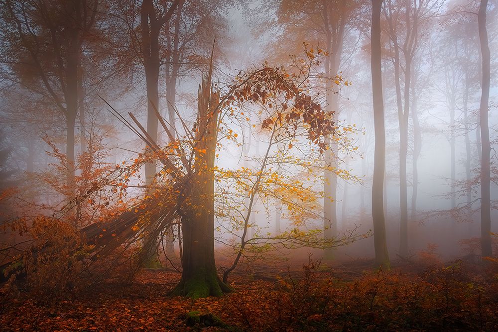 Similar wall art painting: 701083