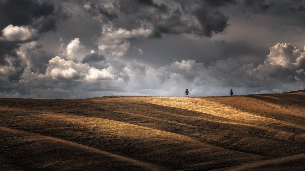 Similar wall art painting: 469053