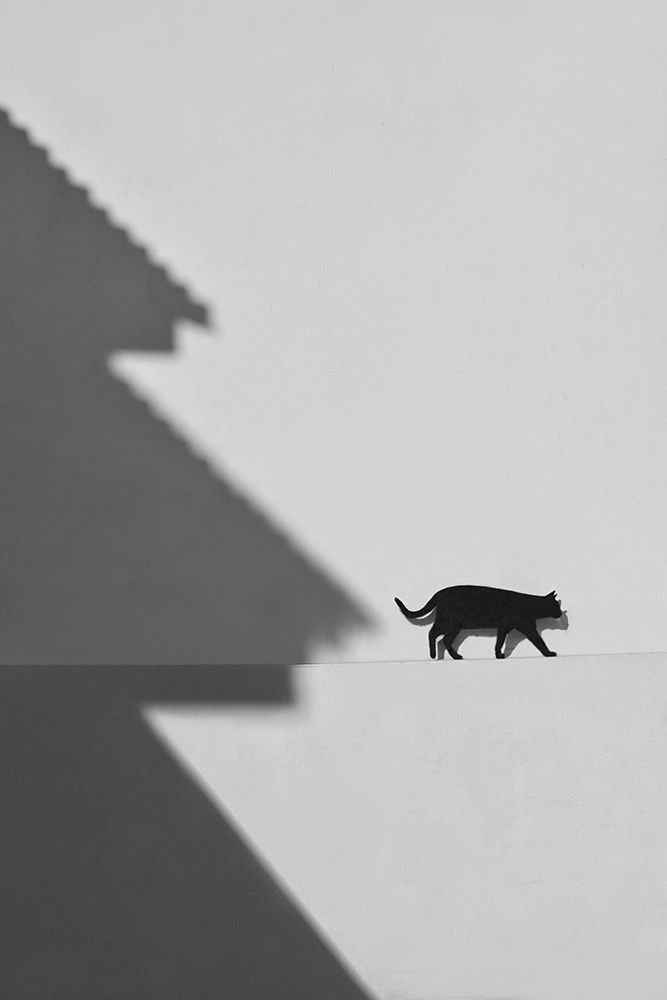 Similar wall art painting: 506065