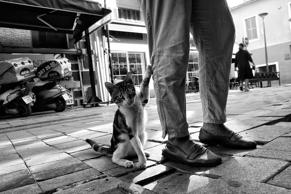 Similar wall art painting: 612515