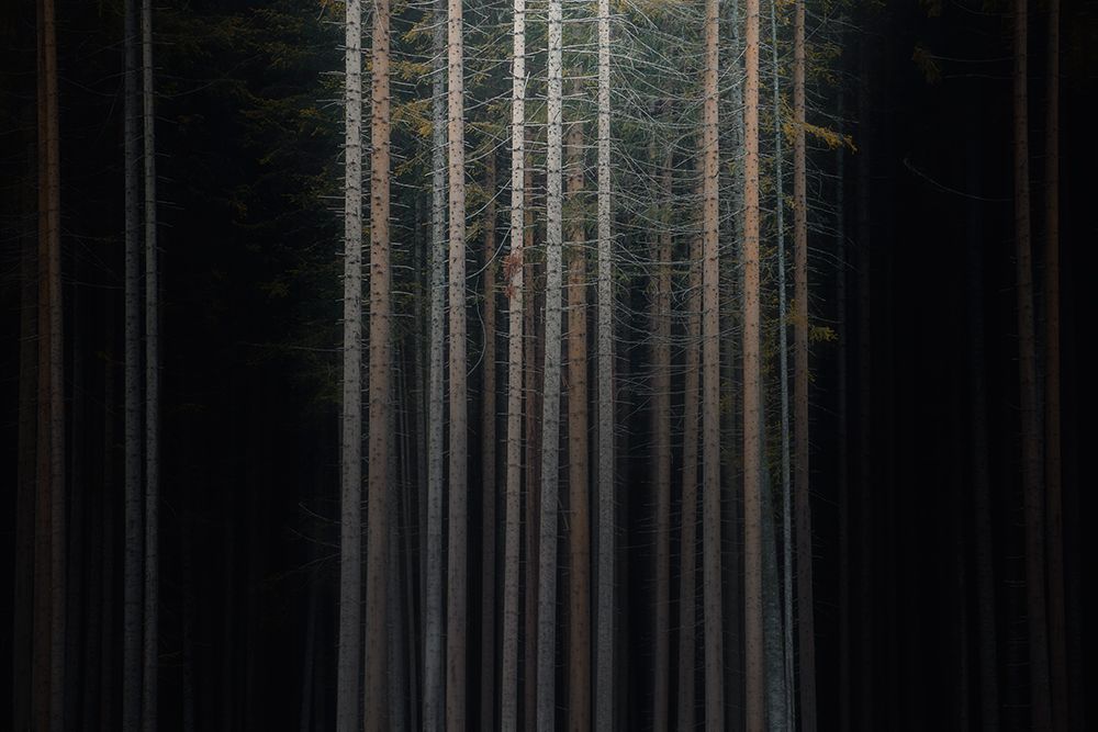 Similar wall art painting: 469394