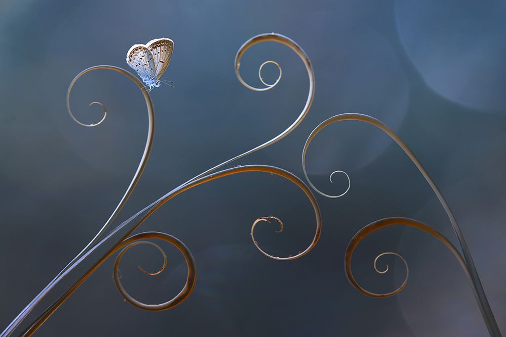 Similar wall art painting: 469427