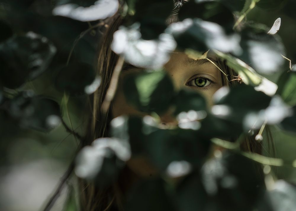 Similar wall art painting: 469741