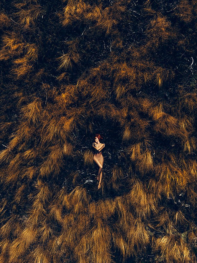 Similar wall art painting: 496610