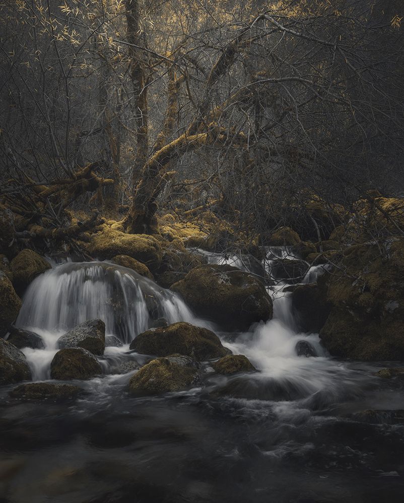 Similar wall art painting: 470300